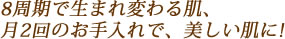 8周期で生まれ変わる肌、月2回のお手入れで、美しい肌に!